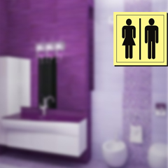 Passenger Vessel and Terminal